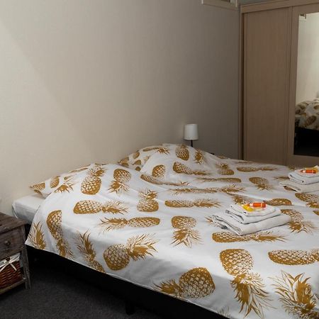 Apartament De Rozenborg Scharmer Zewnętrze zdjęcie